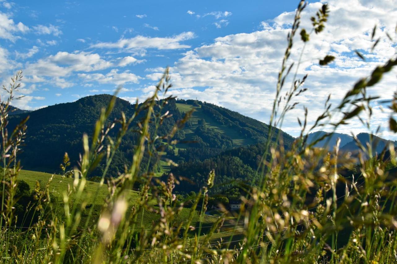 Ferienwohnung Am Sattelhof Türnitz Kültér fotó