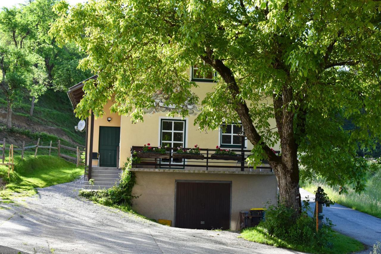 Ferienwohnung Am Sattelhof Türnitz Kültér fotó